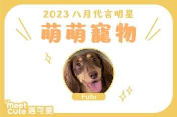 2023｜八月代言《萌萌寵物》