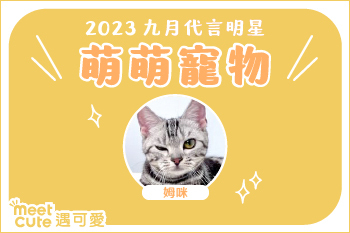 2023｜九月代言《萌萌寵物》