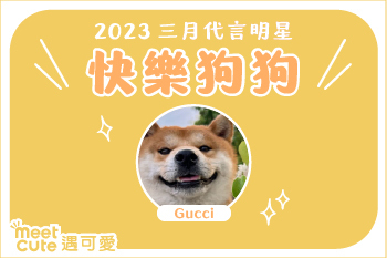 2023｜三月代言《快樂狗狗》